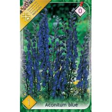 Aconitum blue