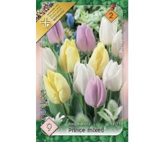 Tulipa Trio - Prince mixed