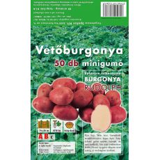 Holandské sadivo zemiakov / minihľuzy 50ks - RUDOLPH