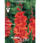 Gladiolus - Hunting Song