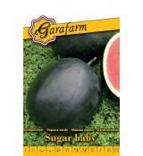 Melón vodový Sugar baby