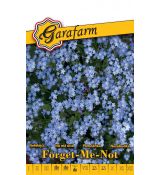 Nezábudka záhradná Forget-Me-Not - modrá