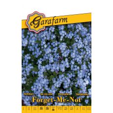 Nezábudka záhradná Forget-Me-Not - modrá