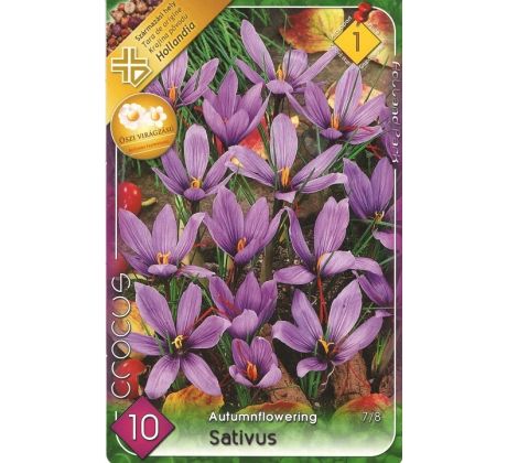 Crocus Autumnflowering - sativus
