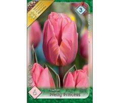 Tulipa - Pretty Princess