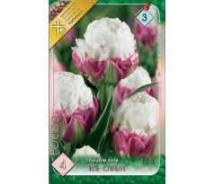 Tulipa - Ice Cream