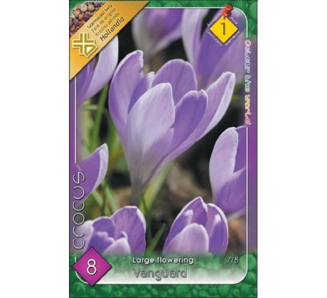 Crocus Vanguard