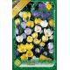 Crocus chrysanthus /botanical Mixed