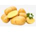 Holandské sadivo zemiakov / minihľuzy 50ks - COLOMBA