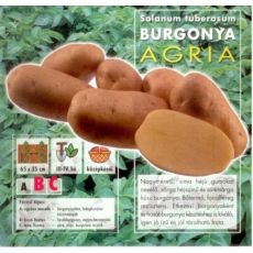 Holandské sadivo zemiakov / minihľuzy 50ks - AGRIA