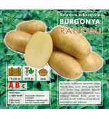 Holandské sadivo zemiakov / minihľuzy 50ks - RANOMI