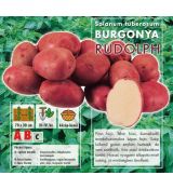 Holandské sadivo zemiakov / minihľuzy 50ks - RUDOLPH