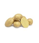 Holandské sadivo zemiakov / minihľuzy 50ks - TWINNER