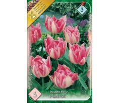 Tulipa Double Early - Foxtrot