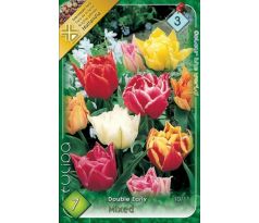 Tulipa Double Early - Double early mixed