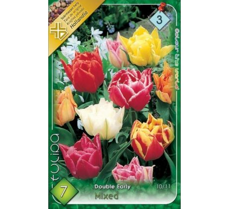 Tulipa Double Early - Double early mixed