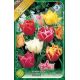 Tulipa Double Early - Double early mixed
