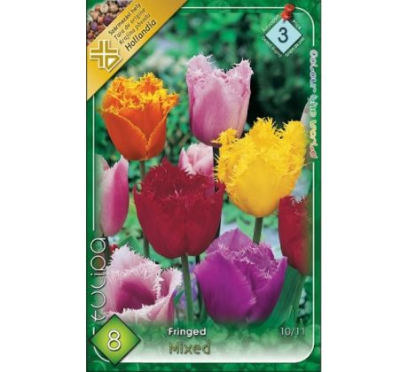 Tulipa Fringed/Crispa - mixed