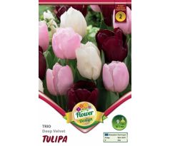 Trio Deep Velvet