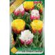 Tulipa - Ice Cream Coctail