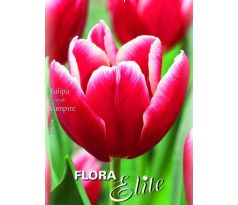Tulipa - Vampire