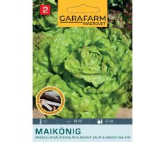 Výsevný pás - šalát skorý Május Királya/Kráľ Mája