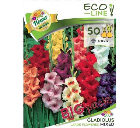 Gladiolus large flowered - mixed/50ks