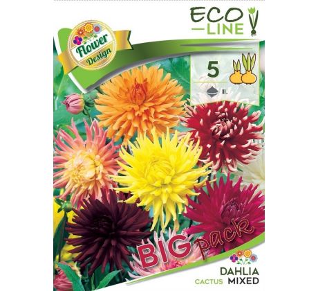 Dahlia - Cactus mixed/5ks