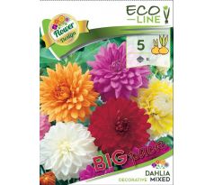 Dahlia - decorative mixed/5ks