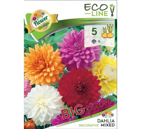 Dahlia - decorative mixed/5ks