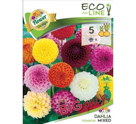 Dahlia - Pompon mixed/5ks