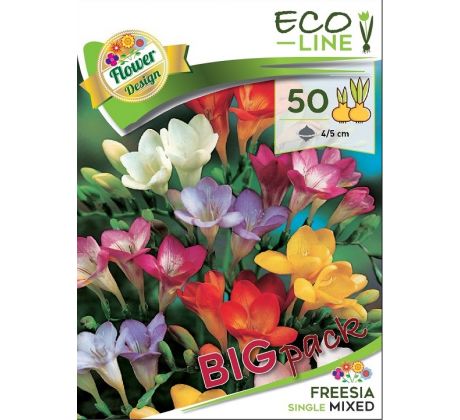 Freesia - single mixed/50 ks