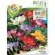 Freesia - single mixed/50 ks