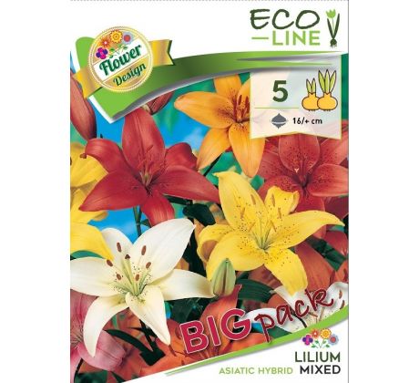 Lilium asiatic - mixed 5 ks