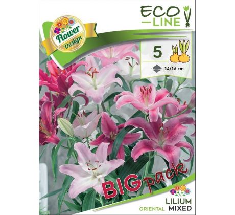 Lilium oriental - mixed 5 ks