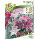 Lilium oriental - mixed 5 ks