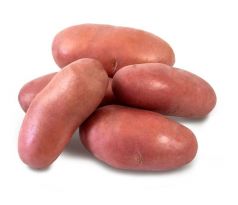 Holandské sadivo zemiakov / minihľuzy 50ks - FRANCELINE