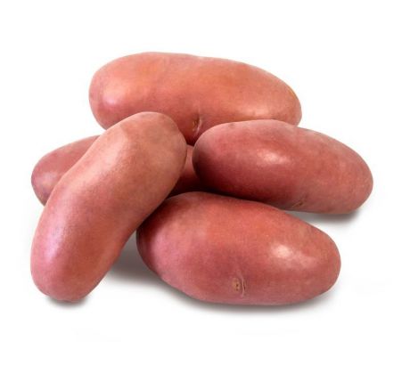 Holandské sadivo zemiakov / minihľuzy 50ks - FRANCELINE