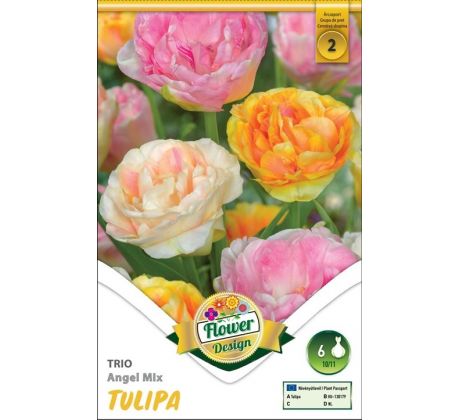 Tulipa - Trio Angel mix