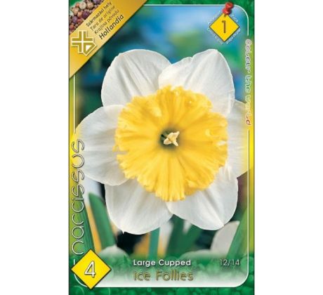 Narcissus Large Cupped - Ice Follies