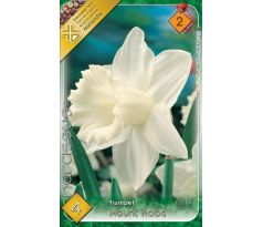 Narcissi Trumpet - Mount Hood