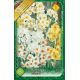 Narcissus multiflowered mixed