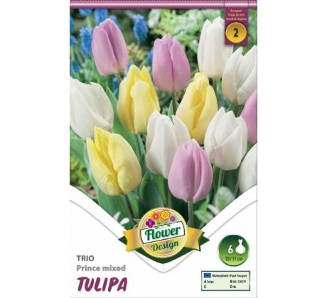 Tulipa Trio - Prince mixed