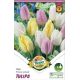 Tulipa Trio - Prince mixed