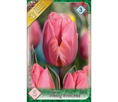 Tulipa - Pretty Princess