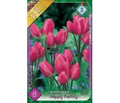 Tulipa Multiflowered - Happy Family