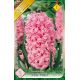 Hyacinthus - Pink Pearl