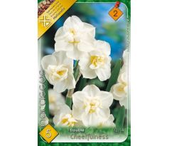 Narcissus Double - Cheerfulness