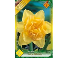 Narcissus Double - Dick Wilden