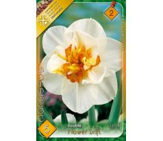 Narcissus Double - Flower Drift